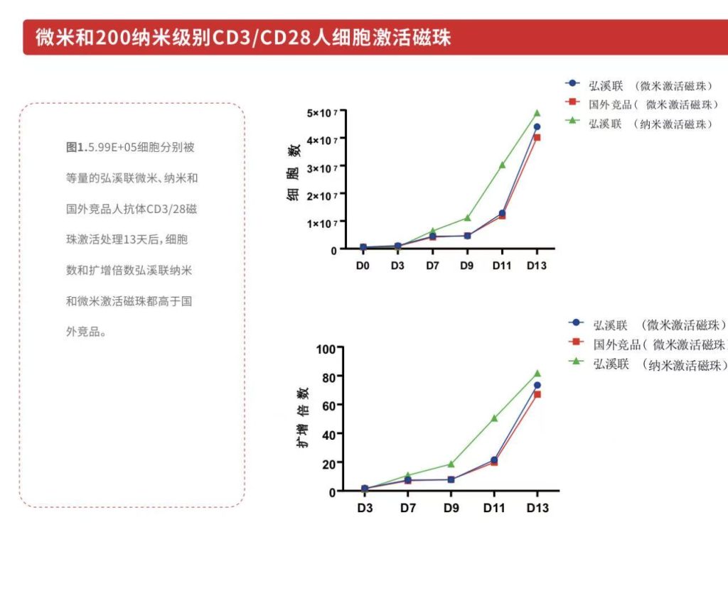源资料中的代表性 T 细胞激活/扩增性能图;结果受供体、培养体系与操作条件影响。