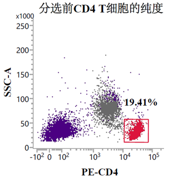 分选前代表性流式结果:CD4⁺ 细胞约 19.41%。