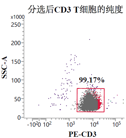 分选后代表性流式结果:CD3⁺ T 细胞约 99.17%。结果受样本与操作条件影响。