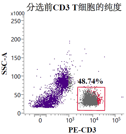 分选前代表性流式结果:CD3⁺ T 细胞约 48.74%。
